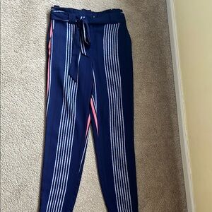 Navy Striped Pants with Belt